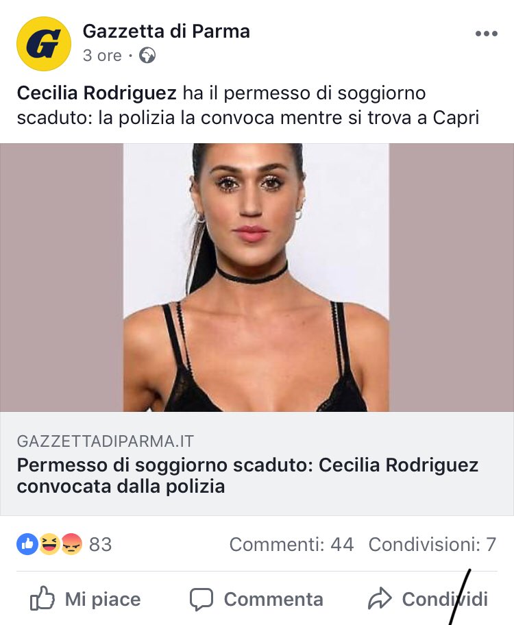 met_solign_'s tweet photo. @silviaserventi1  https://t.co/lS1f2VPKDu