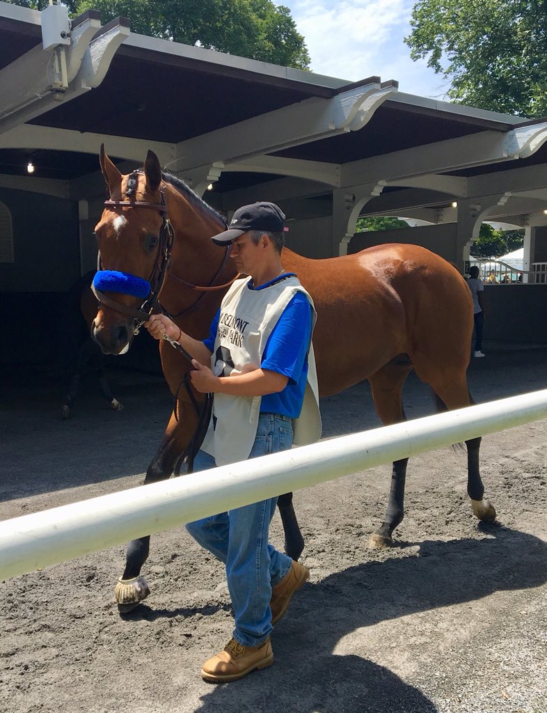 jmems24's tweet photo. The star of Baffert’s show today is CLEARLY Hoppertunity. Amazing that I was able to see him win the Rebel at 3 4 years ago and then today in the Brooklyn. What a cool horse. #TheHopper https://t.co/KRVPSPULCa