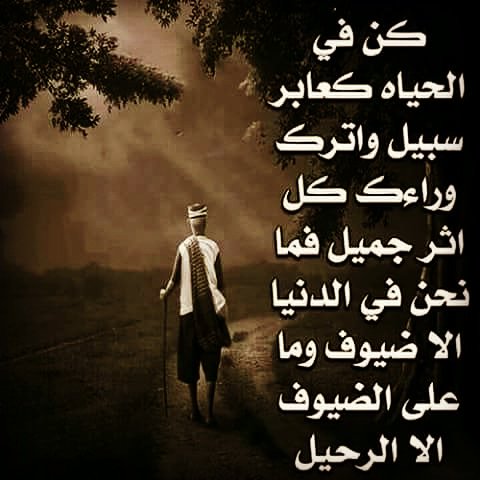 abuanja tweet media