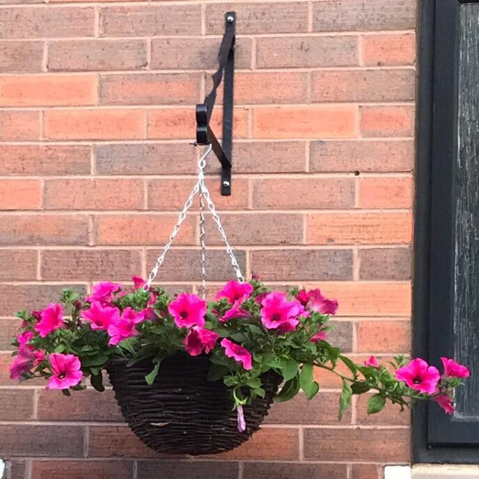 DPCForum's tweet photo. One of the many beautiful hanging baskets put up along Donegall Pass, well done DPCF Mens Shed and Community Garden volunteers. Funded by @UrbanVillagesNI #bloominglovely #belfastinbloom https://t.co/qSDKt9YSoA