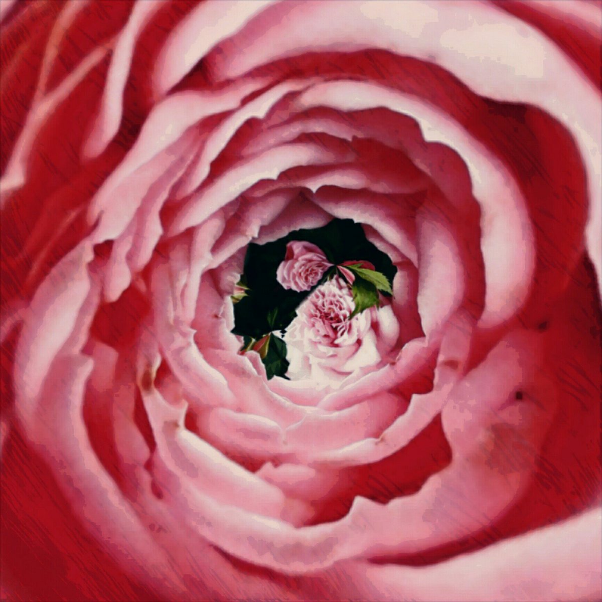 Asside333's tweet image. Asside - KM333
#psychedelic #art #mindblown