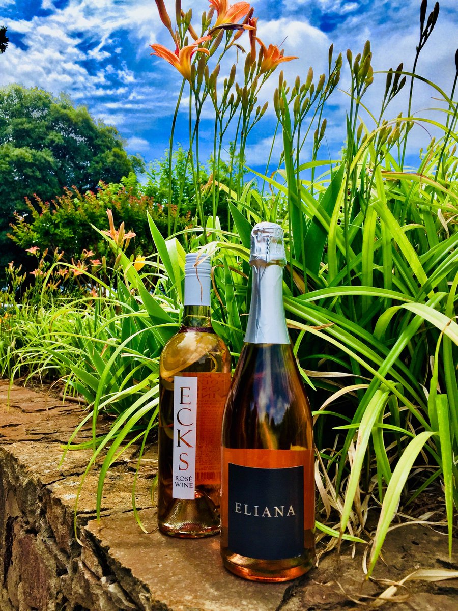 BorjonWinery's tweet photo. Happy National Rosé Day! #borjon #borjonwinery #rosé #sparklingrosé #nationalroséday https://t.co/blwXdVIlil