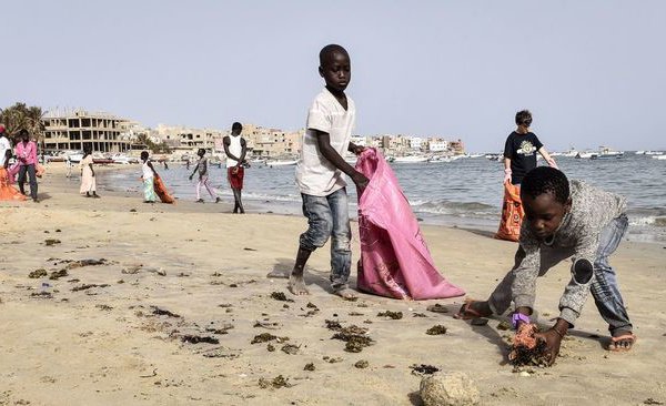 bayemomardieng's tweet photo. A Dakar, la célèbre plage de Ngor débarrassée de ses déchets https://t.co/F71k7SuTQu https://t.co/dn1DvhwlbI