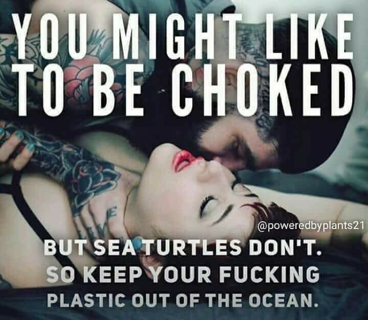 loobygin's tweet photo. #plasticfree #PlasticsStrategy #rudepost https://t.co/kYRIZr1WGf