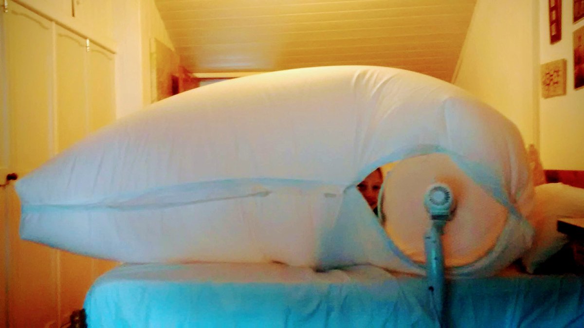 artflychris's tweet photo. I'm a big fan of duvet dens!  Can you see what I did there.  The same can be achieved with a high cabbage diet, but the in-den experience is less fun! https://t.co/Z1taoCocy9