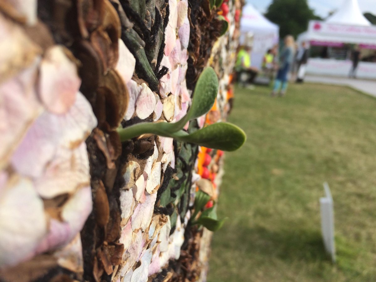 WhitwellWells's tweet photo. One more day to go and we think our display @The_RHS is going to make it although it is starting to live! #RHSChatsworth  #welldressing #phoenix #pumpkin https://t.co/Ylk7tc9QBt