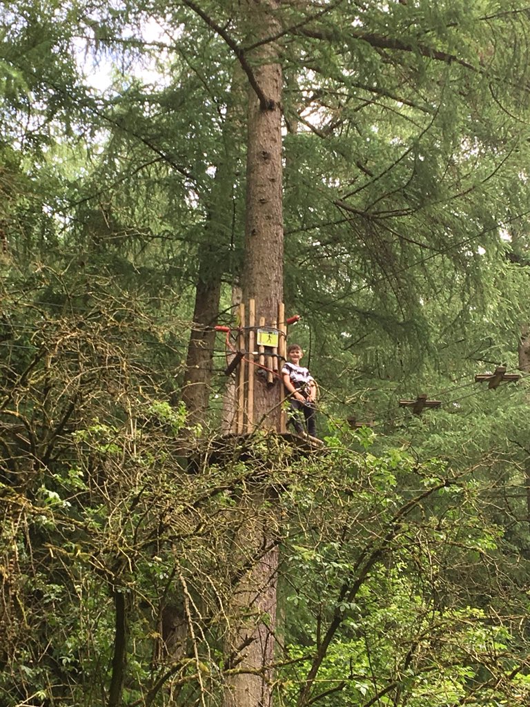 SpringheadFC tweet media