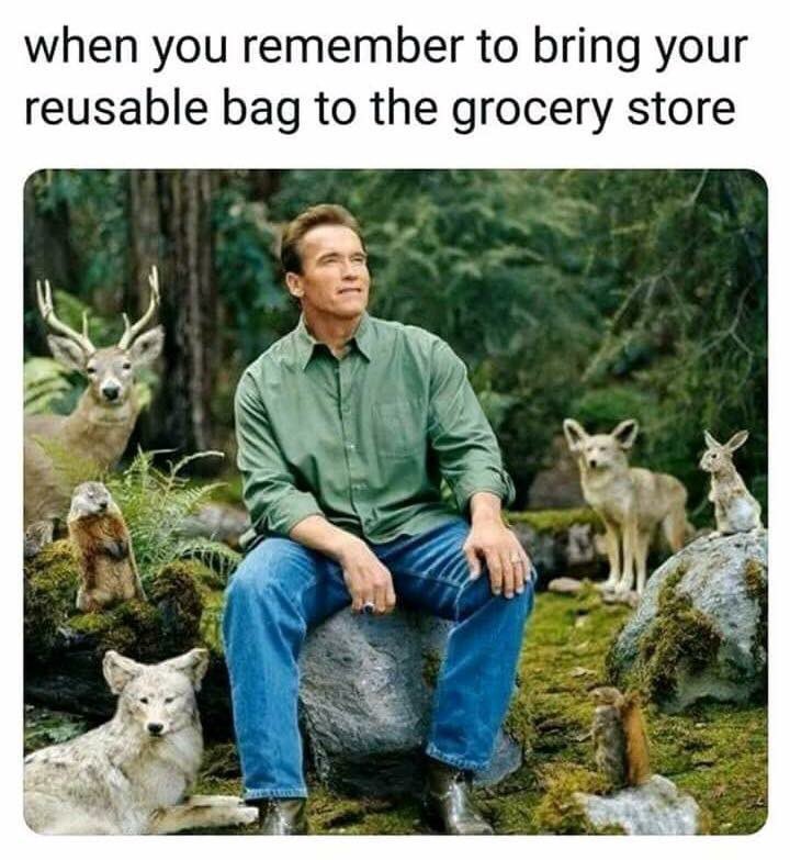 At one 🌱🕊🐿🌿🐛