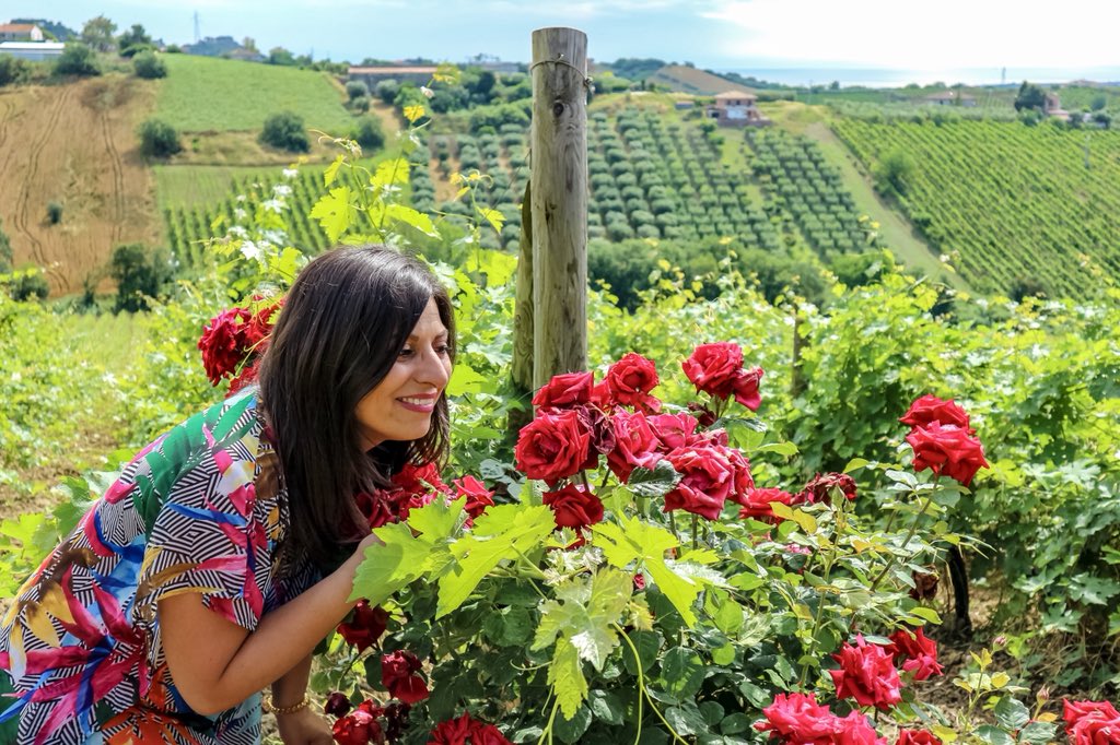 Anna_Pernice's tweet photo. Le 100 ore nel Piceno sono quasi giunte al termine e quindi, prima del tour di Offida, relax tra le colline marchigiane
#100orenelpiceno #picenumtour #piceno #amoilpiceno #mangialongapicena #destinazionemarche
#liveforthestory https://t.co/iYkfN30Cea