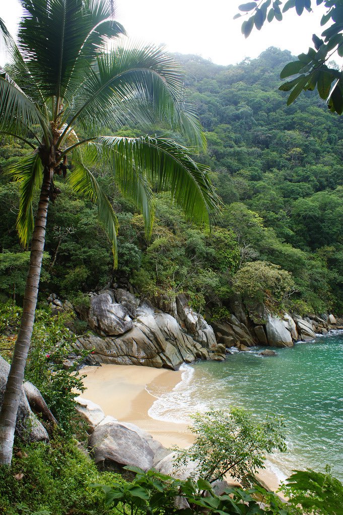 Playa tropical