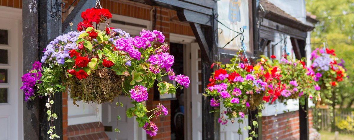 NewForestMarque's tweet photo. The Trusty Servant @TrustyServant1 joins as a member - Country Pub with great freshly prepared, home cooked food, local real ales and a very large garden, welcomes walkers, cyclists, children, dogs and coach parties.  #NewForestMarque #newforestpub https://t.co/ExfvVaeVmX https://t.co/3RdFxBszAx