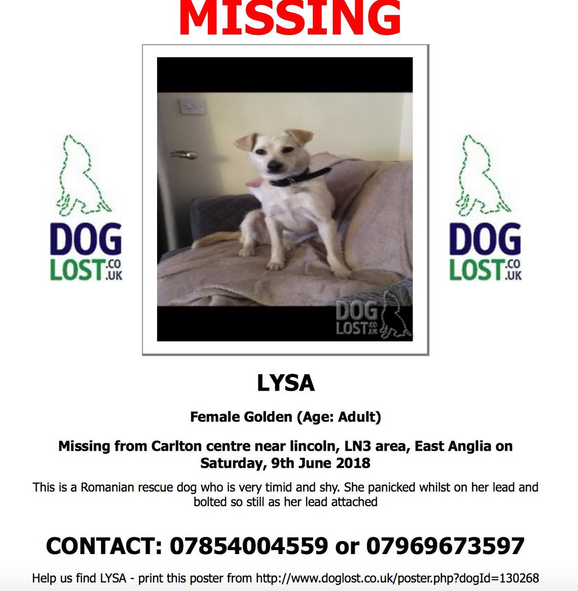 Forgetmenotted's tweet image. This is my friends dog please share