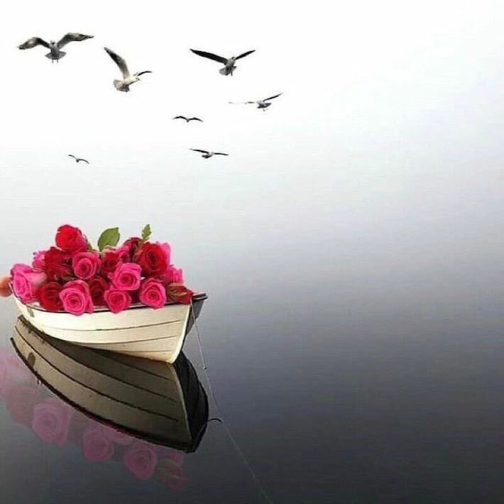 km20154's tweet photo. يقول أبو بكر الصديق :
لو لم أجد للسارق والزاني وشارب الخمر إلاَّ ثوبي ، لأحببتُ أن أستره بِه ....🌷🌷 https://t.co/b0ZXdWMvqf