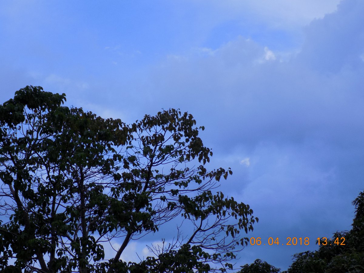 kamlesm's tweet photo. @SkyLineGuy93 @peac4love @ClevelandClinic #Sky at Port Blair Andaman Nicobar Islands https://t.co/24mXjOCHIl