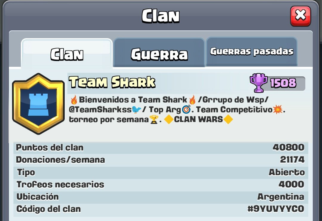 Team Shark tweet media