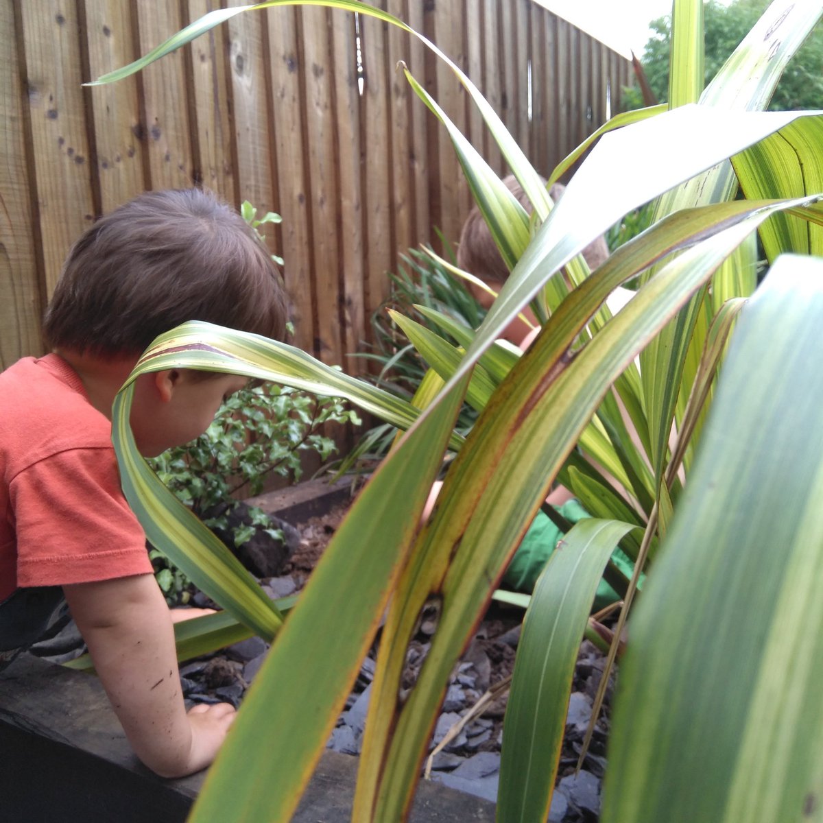 chena_luck's tweet photo. Day 9 of #30DaysWild spent a busy afternoon in the garden digging, found lots of woodlice, ants and worms 🐜🐛 https://t.co/2nVu2PkoE2