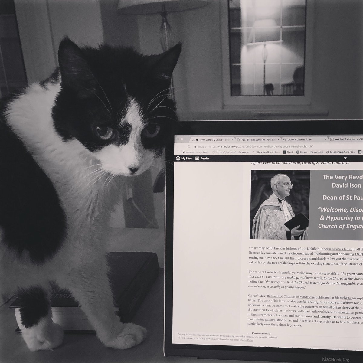 wonderfulexchng's tweet image. Molly-cat would like to thank @revdison for his excellent blog post, but wishes it were not necessary to keep debating this so that we could return to the core work of worship, ear-scratching, and acts of loving service.  #catsofthecofe #piskypuss #dogsofthecofe #allarewelcome