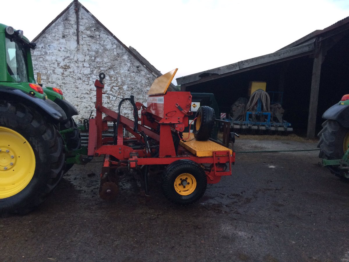 Old faithful out of hibernation for the rape and kale