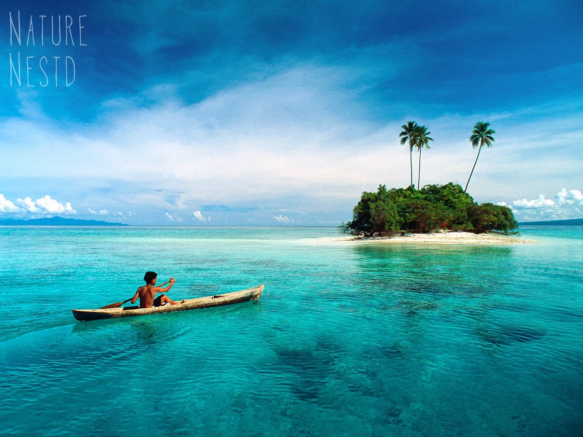 #SeascapeSaturday
Private island lifestyle 🏝🏖🏝
.
.
.
📷: Unknown
#NatureNestd #Nature #Earth #Wilderness #Outdoors #Travel #Ocean #Sea #Island