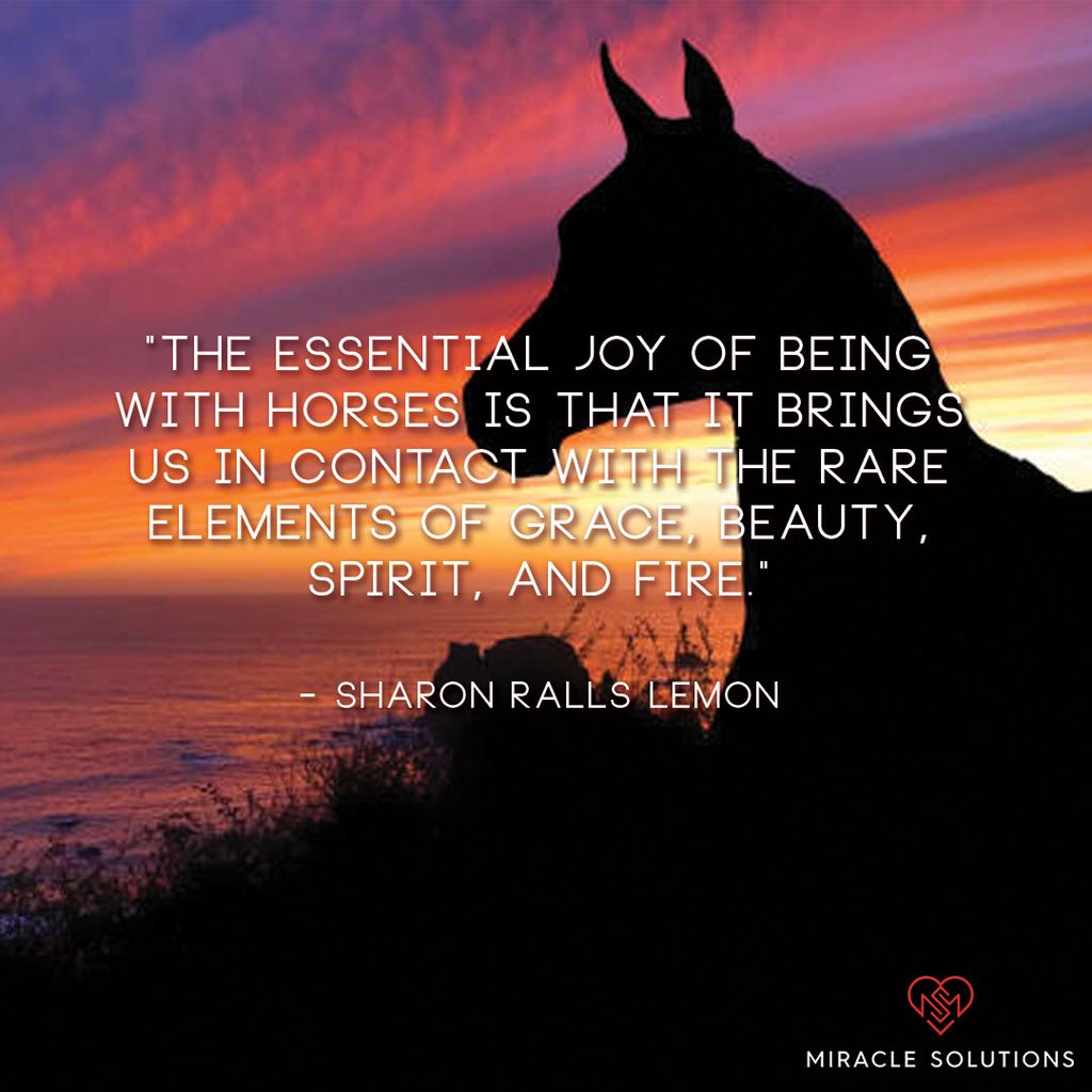 MiraclSolution's tweet image. Horses thrill us as athletes, grace our lives as companions, instill confidence and teamwork in equestrians of all ages and perform miracles for people with special needs. You can help raise capital to multiple charities miracles.solutions