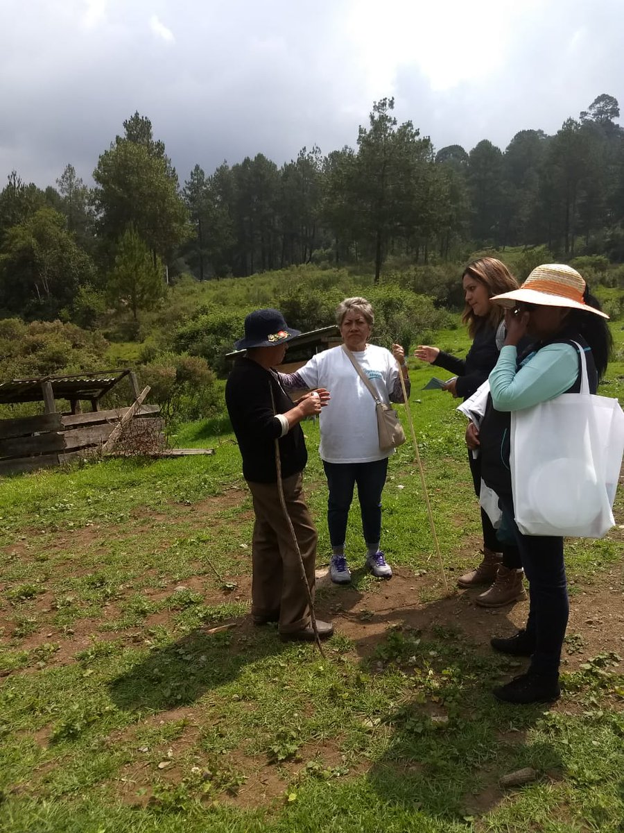 mta_marirojas's tweet photo. Dando a conocer las propuestas #votaparejo #miseleccionesnuevaalianza #votanuevaalianza #felizsabado #mexico #elecciones2018 #  #somosturquesa, #nuevaalianza, #texcaltitlan, #tixca, #uncambio, #podemosmejorartexcaltitla, #VotaNuevaAlianza #toluca https://t.co/zMYzgO8mhp