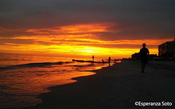 OurOcean's tweet photo. "The ocean stirs the heart, inspires the imagination and brings eternal joy to the soul." – Robert Wyland #OceanOptimism #NationalOceanMonth #SunsetSaturday https://t.co/soat2KzPKK https://t.co/3cqCdx8DkG