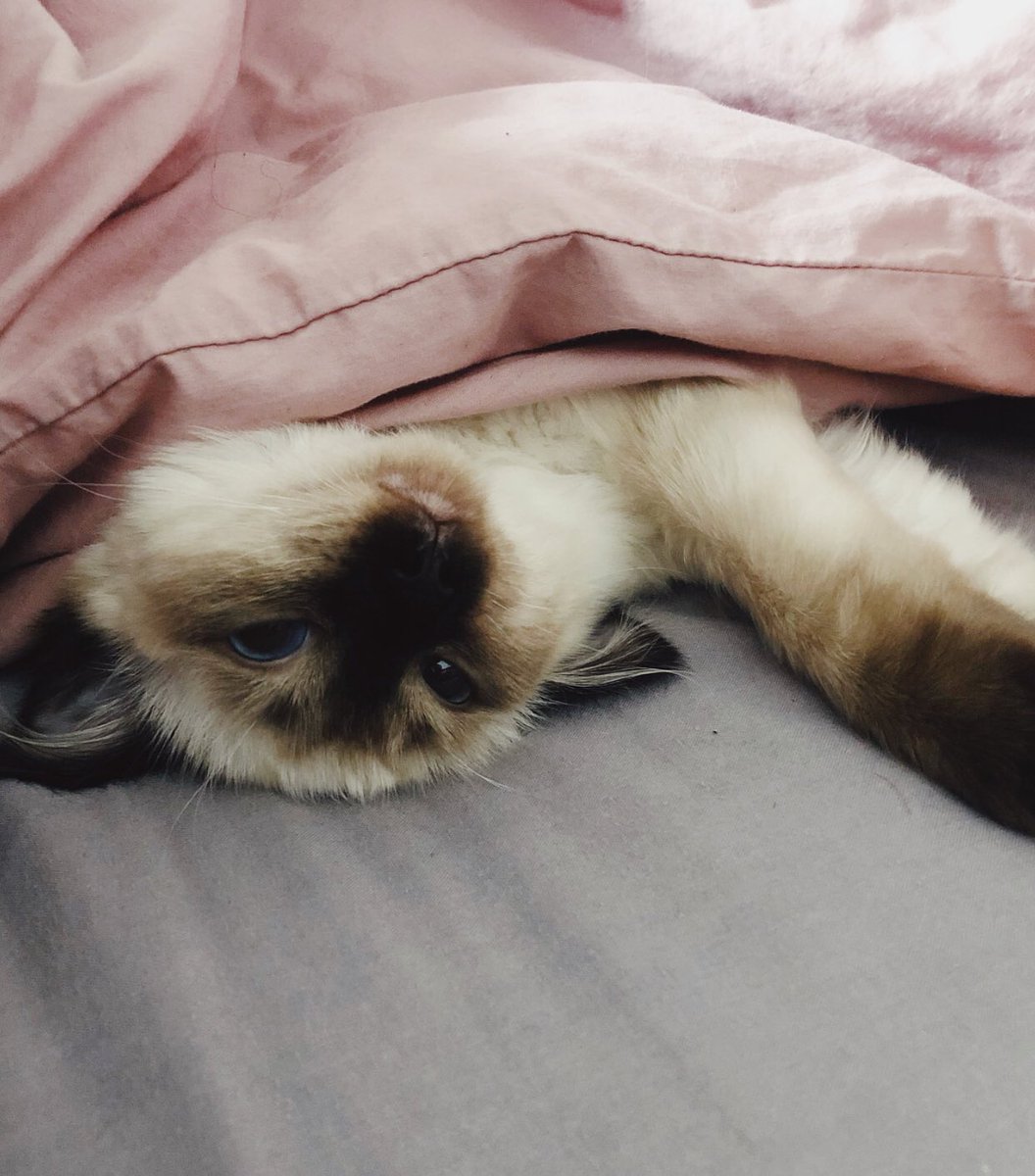 Anyway here’s my son, I know this is the content people want