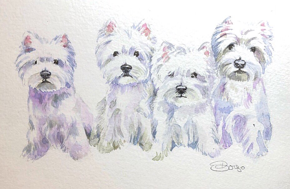 thewestiegang's tweet photo. #30x30directwatercolor2018. Dinner!....NOW! https://t.co/4A3NbYn5NF