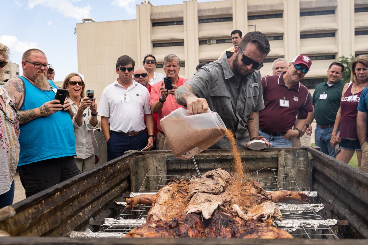 foodwaysTX's tweet photo. Taking off the lid and flippin' the pig. @patrick84_03 of @FegesBBQ showing us his take on #wholehog at Barbecue Summer Camp. #bbqcamp #tamubbq https://t.co/NO5cm2GTBI