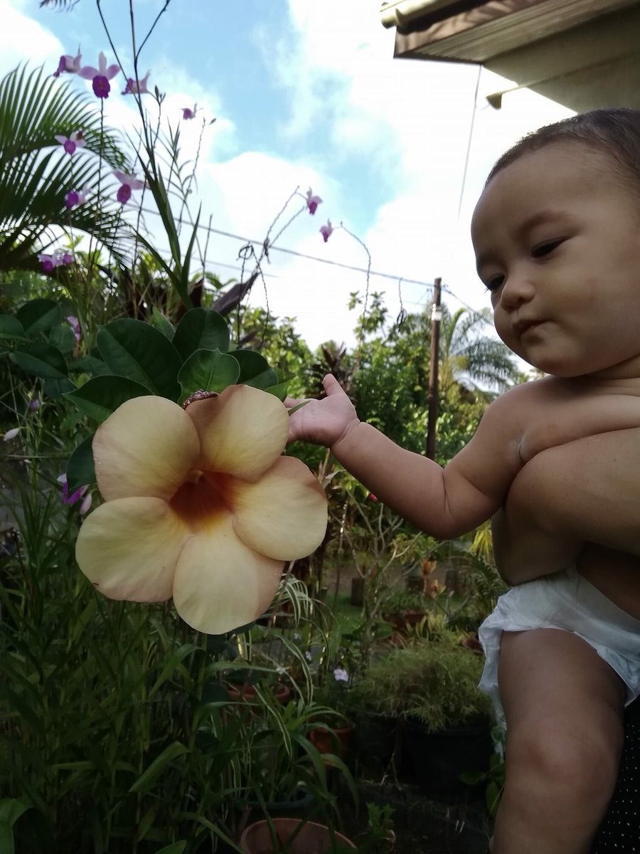 GKavena's tweet photo. My polynesian little princesse 👑 😍❤️ #jetaimemaniece https://t.co/KuRG5qX4fQ