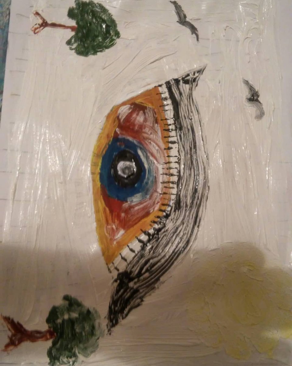 Timothy OGorman tweet media