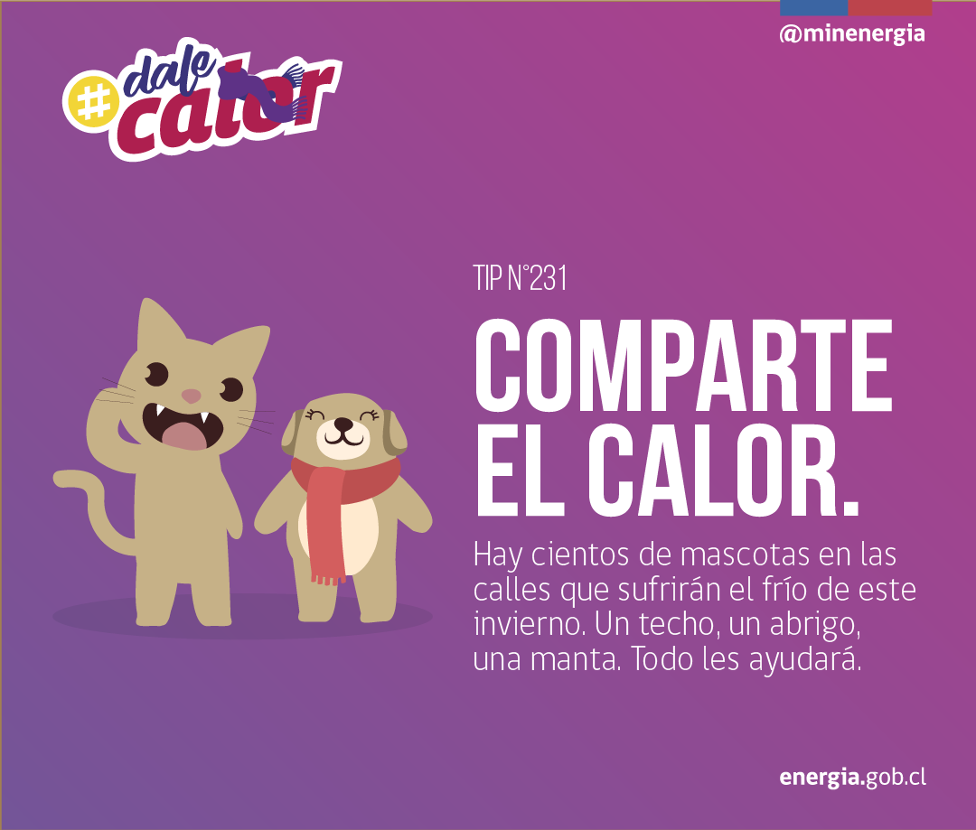 LaLiguaNoticias's tweet photo. ¡Con la ola de frío que viene! ¡No olvides a los animales! 

♨️🐶🐱🏡 Si ves una gatita o un perrito en la calle, puedes compartirle techo, una mantita, y comida. #DaleCalor a quien puedas, porque el frío nos afecta a tod@s. https://t.co/OmRTT6kYih https://t.co/N8vgOimCjo