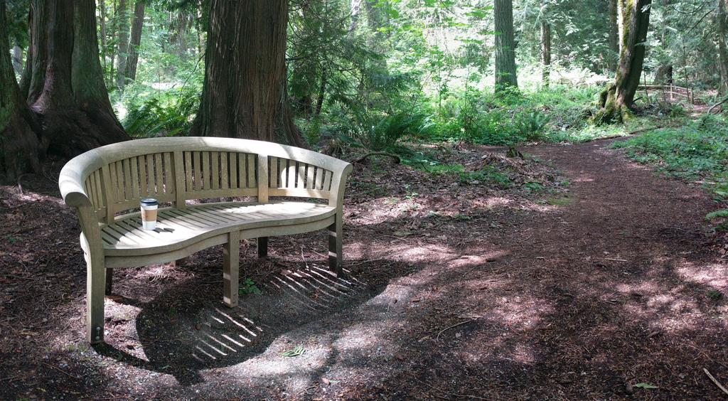 StoryInMyCoffee's tweet photo. If ever in Bellevue, WA, grab a walk + coffee at the Botanical Gardens; sip and smell the flowers 🌻🌺🏵️🌸🌼🌱🌳☕🐝 @bellevuebotanic https://t.co/0jcWvG1ISI