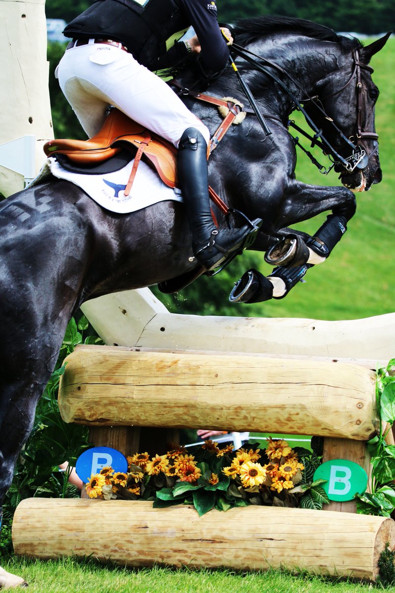 petercarrphoto's tweet photo. Just a few to get the ball rolling. Pretty sure there will be plenty more to come tomorrow from my annual trip to #BramhamInternationalHorseTrials...
#EBHT #BritishEventing #YorkshireEventing #BramhamHorseTrials #EquiTrek #EventingAtItsBest #HorseHour @snapperjim https://t.co/0WmrP1nJOA