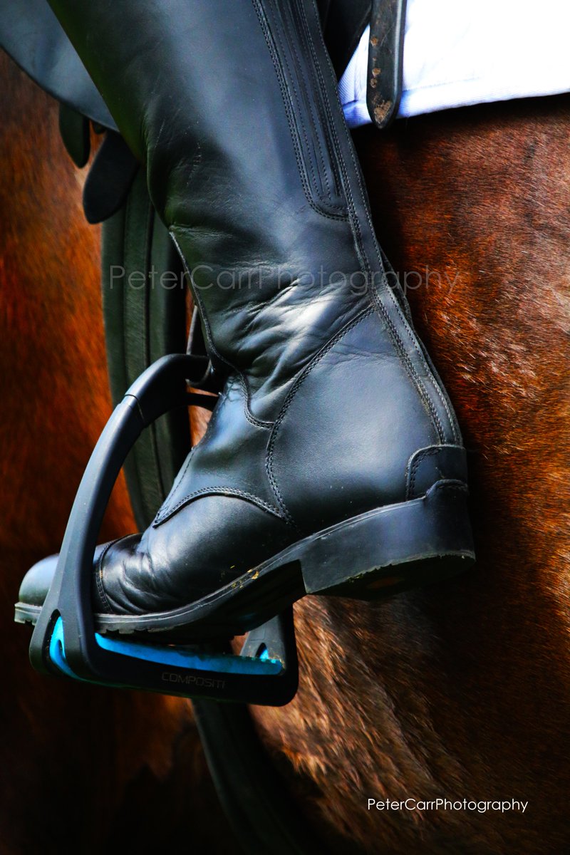 petercarrphoto's tweet photo. Just a few to get the ball rolling. Pretty sure there will be plenty more to come tomorrow from my annual trip to #BramhamInternationalHorseTrials...
#EBHT #BritishEventing #YorkshireEventing #BramhamHorseTrials #EquiTrek #EventingAtItsBest #HorseHour @snapperjim https://t.co/0WmrP1nJOA