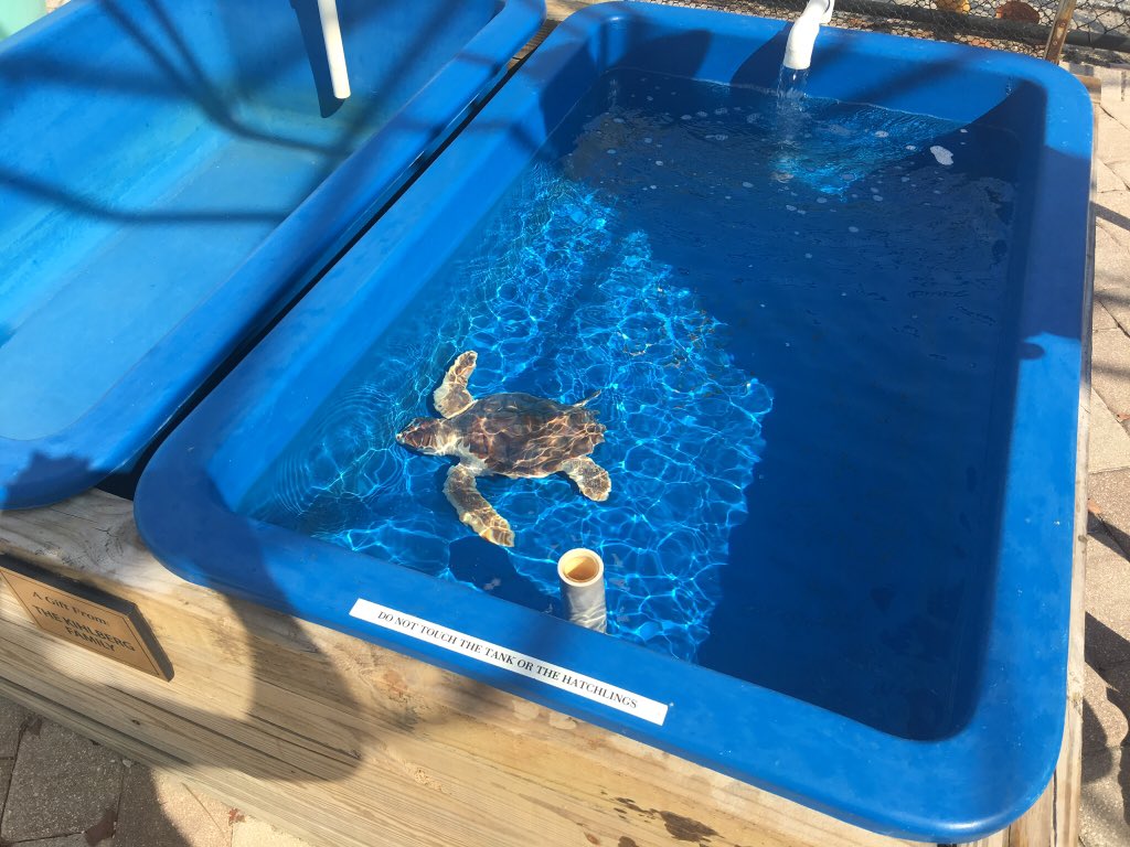 evacwynar's tweet photo. Celebrating #WorldOceanDay2018 with the fam by building a cleanup contraption to pick up marine debris @LoggerheadMC @PBCSTEM https://t.co/gJOJ9KeJR5