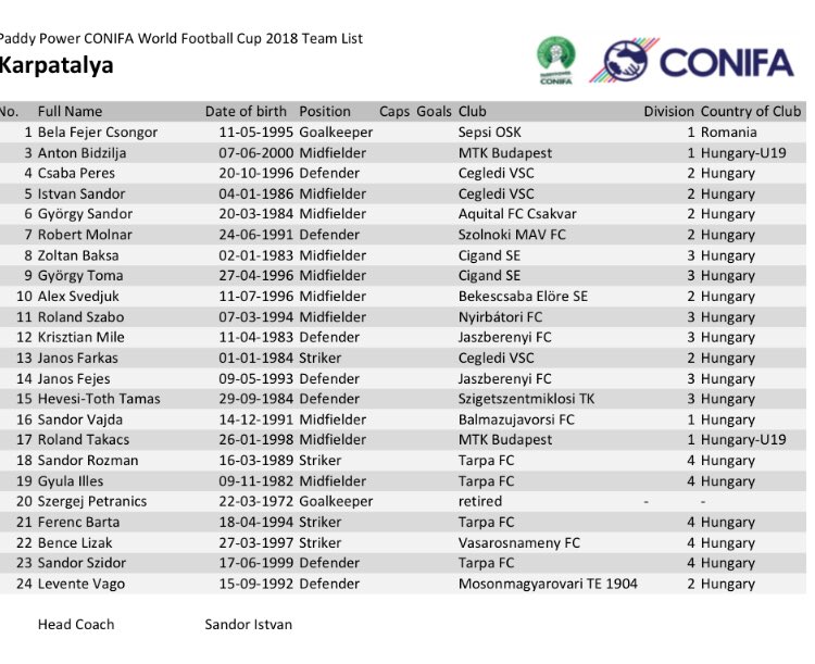AlenDelic's tweet image. The @ALeague has a world champion! Former @PerthGloryFC man Gyorgy Sandor was in the Kárpátalja squad that won the @CONIFAOfficial World Cup! #conifa #conifa18