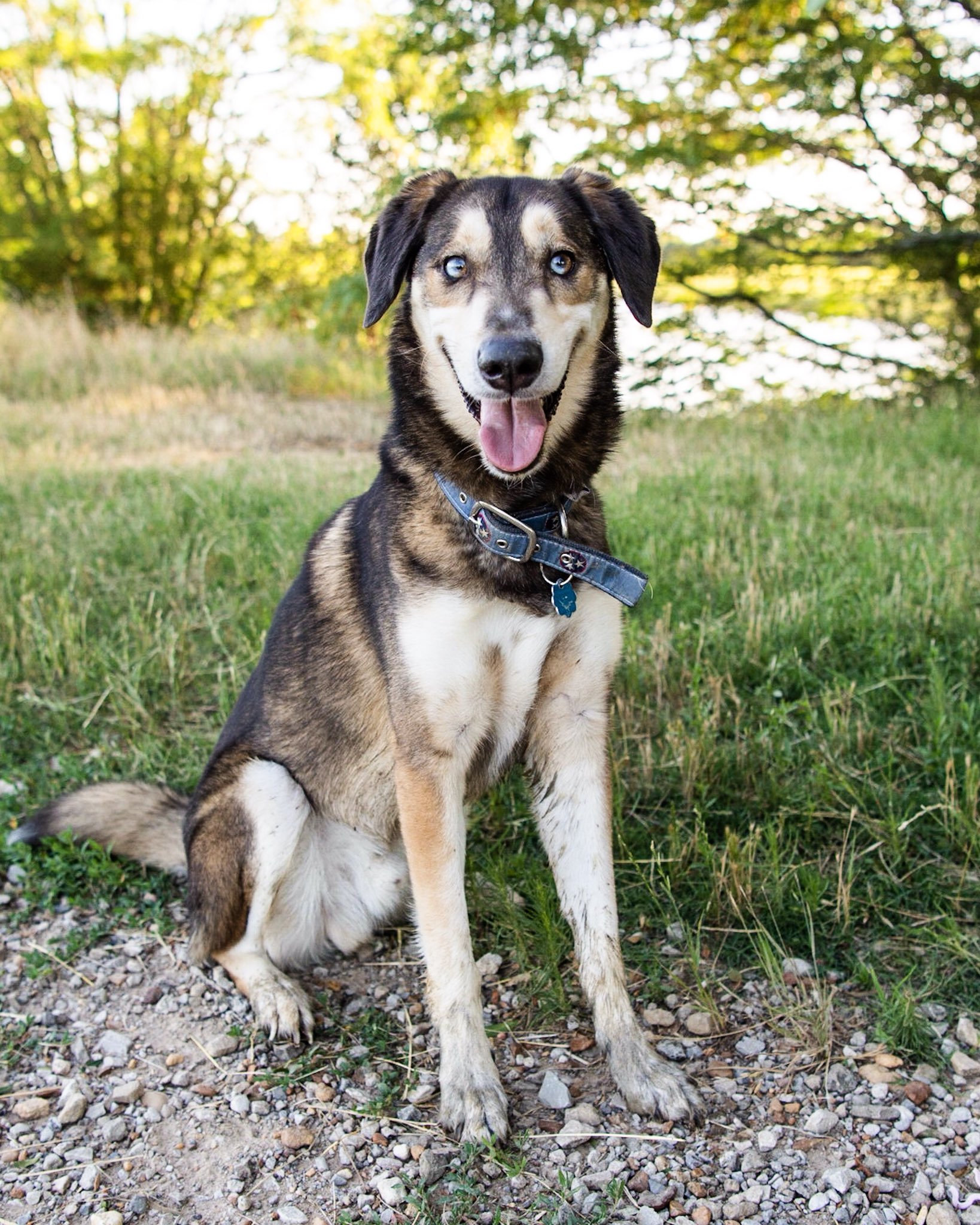 Huskador 2025