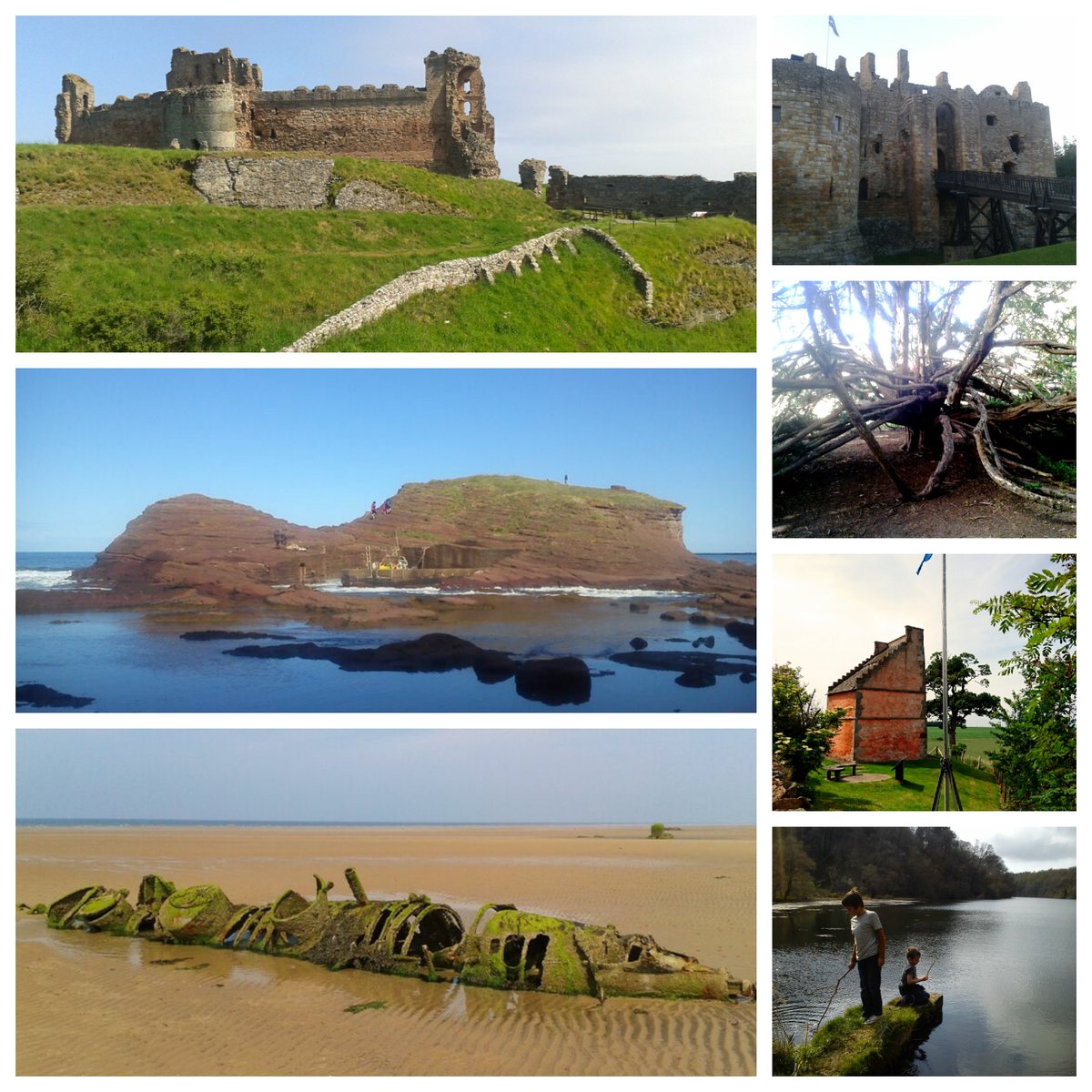 PhilipStobie's tweet photo. @LothianLoop @embrace_EL @goeastlothian @VisitScotland #EastLothian is the place for you if you like an abundance of #history & #nature. Heres a taster #TantallonCastle #DirletonCastle #OrmistonYew #FlagHeritageCentre #PressmennanLake #MiniSubs #SeacliffHarbour #ScotlandIsNow https://t.co/FXn5IhEWlI