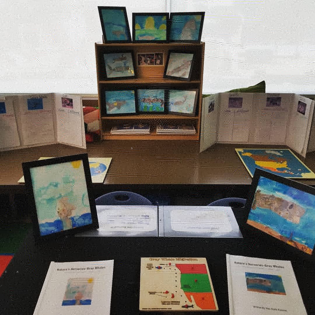 spark_hte's tweet photo. First graders proudly exhibited their teaching puzzles and project work to families! Thanks to Mike Amarillas for your help with the puzzles! #pbl #htenc @HTeNorthCounty @HTHNC @kelphugger4real @CABRILLONPS https://t.co/1svtiTLqh8