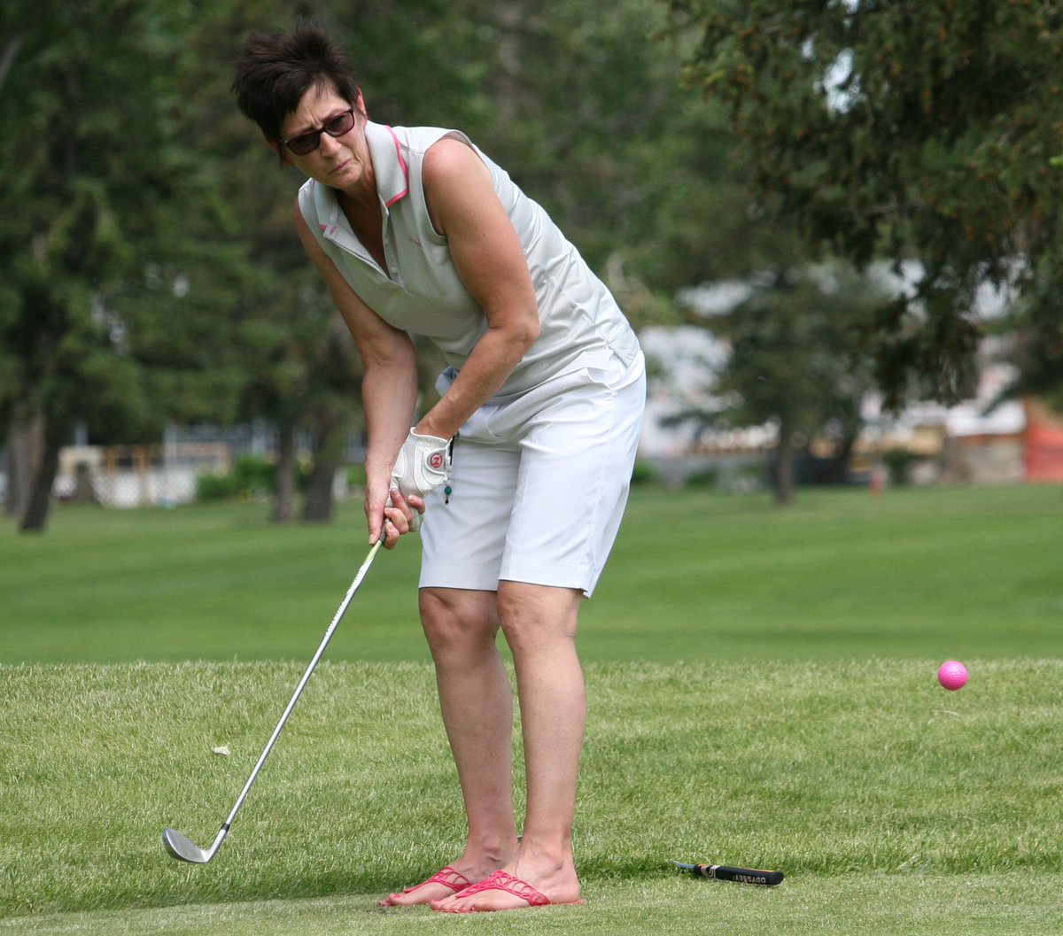 theforeoneone's tweet photo. Players look to go low during the Holcek Memorial Tournament, June 9 at @GolfTaber #yql #yqlgolf https://t.co/0GOjKmSkjY