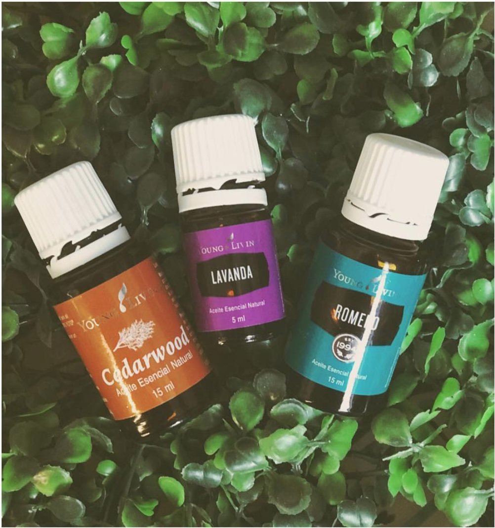 NaturalmenteAc2's tweet photo. No lastimes tus pestañas! Si quieres verlas crecer #Naturalmente sigue estos pasos https://t.co/7TJkU0Jlf6 #youngliving #aceitesesenciales #Mexico #essentialoils #pestañas #Mujeres #Remedios #RemediosCaseros #pestañaslargas #sinquimicos #naturales https://t.co/kriXnHFwrp