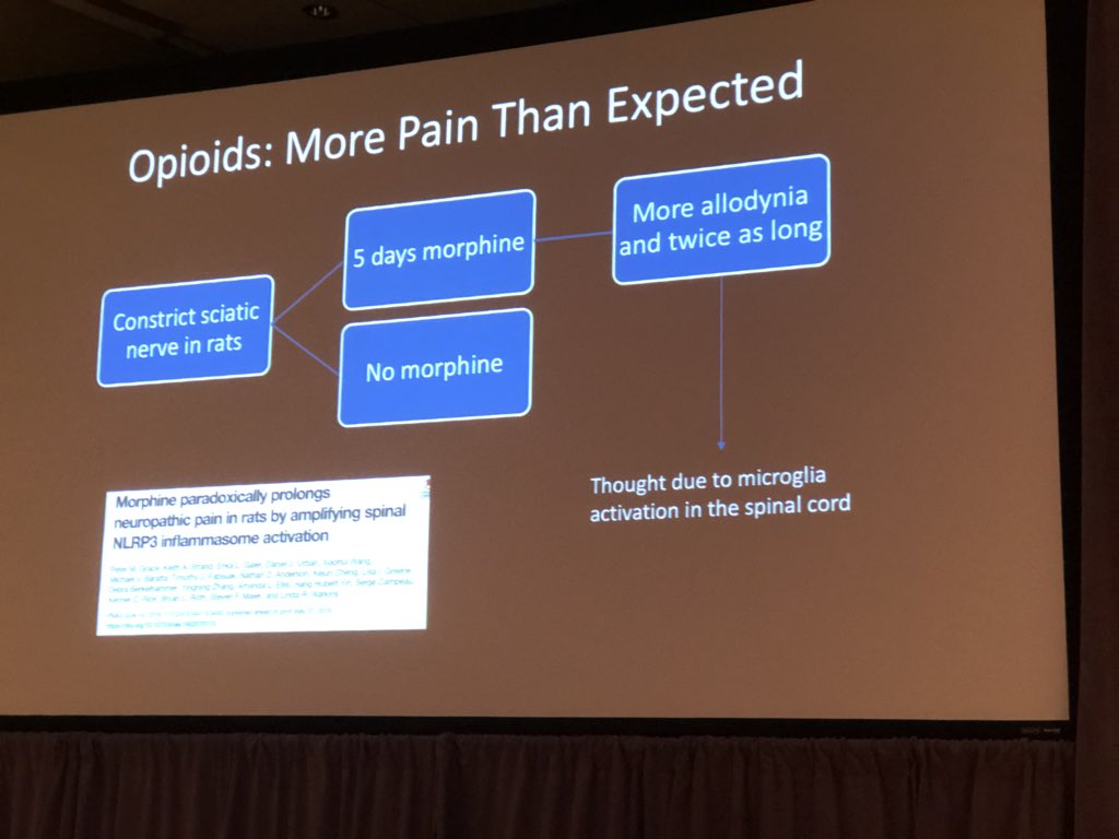 Great talk by Dr. Jason Friedrich <a href="/align_conf/">Align Conference</a> #align2018 Opioids for peripheral neuropathic pain is a second insult to the neural system