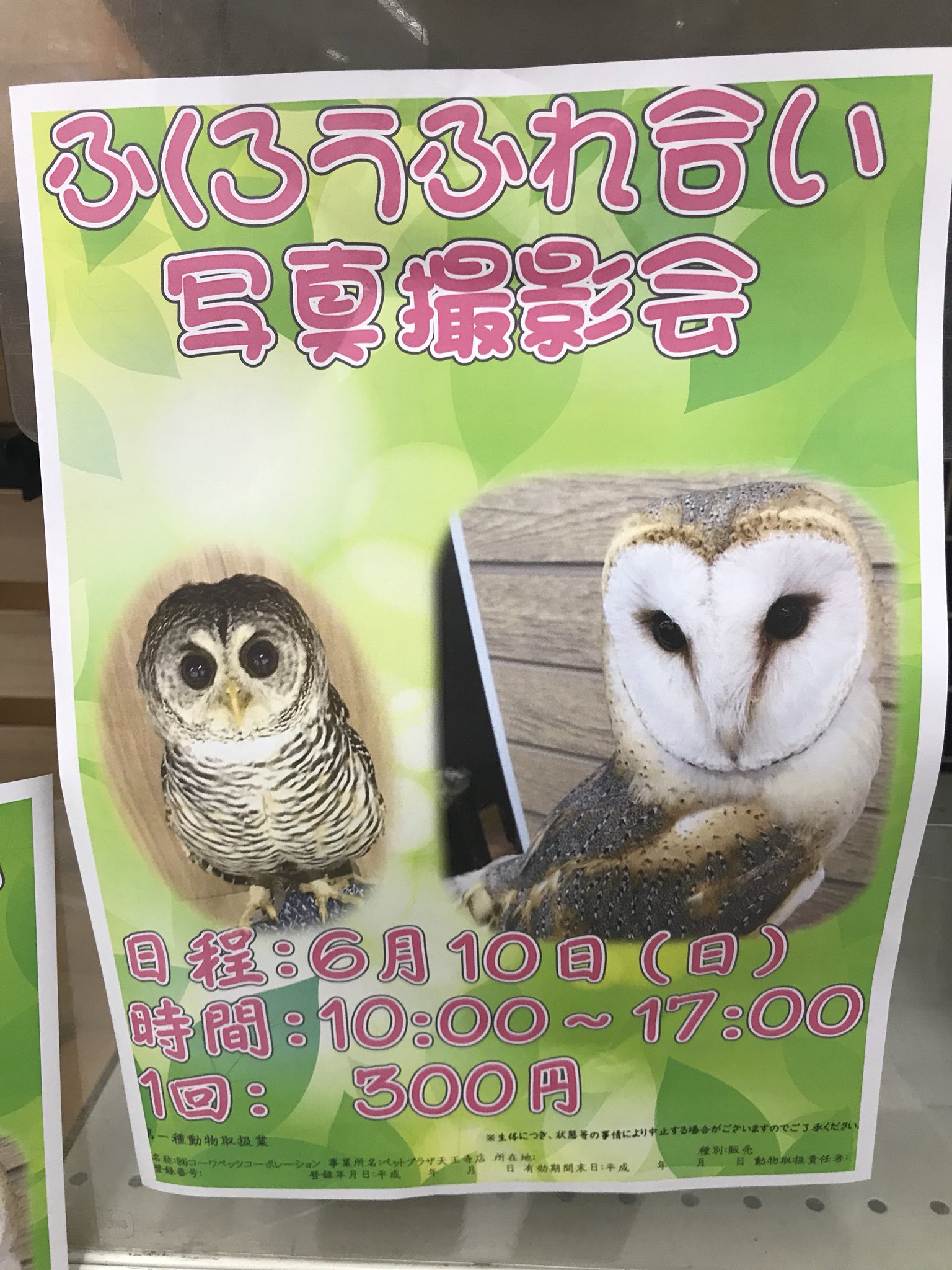 ペットプラザ天王寺店 Pet Tennouji Twitter