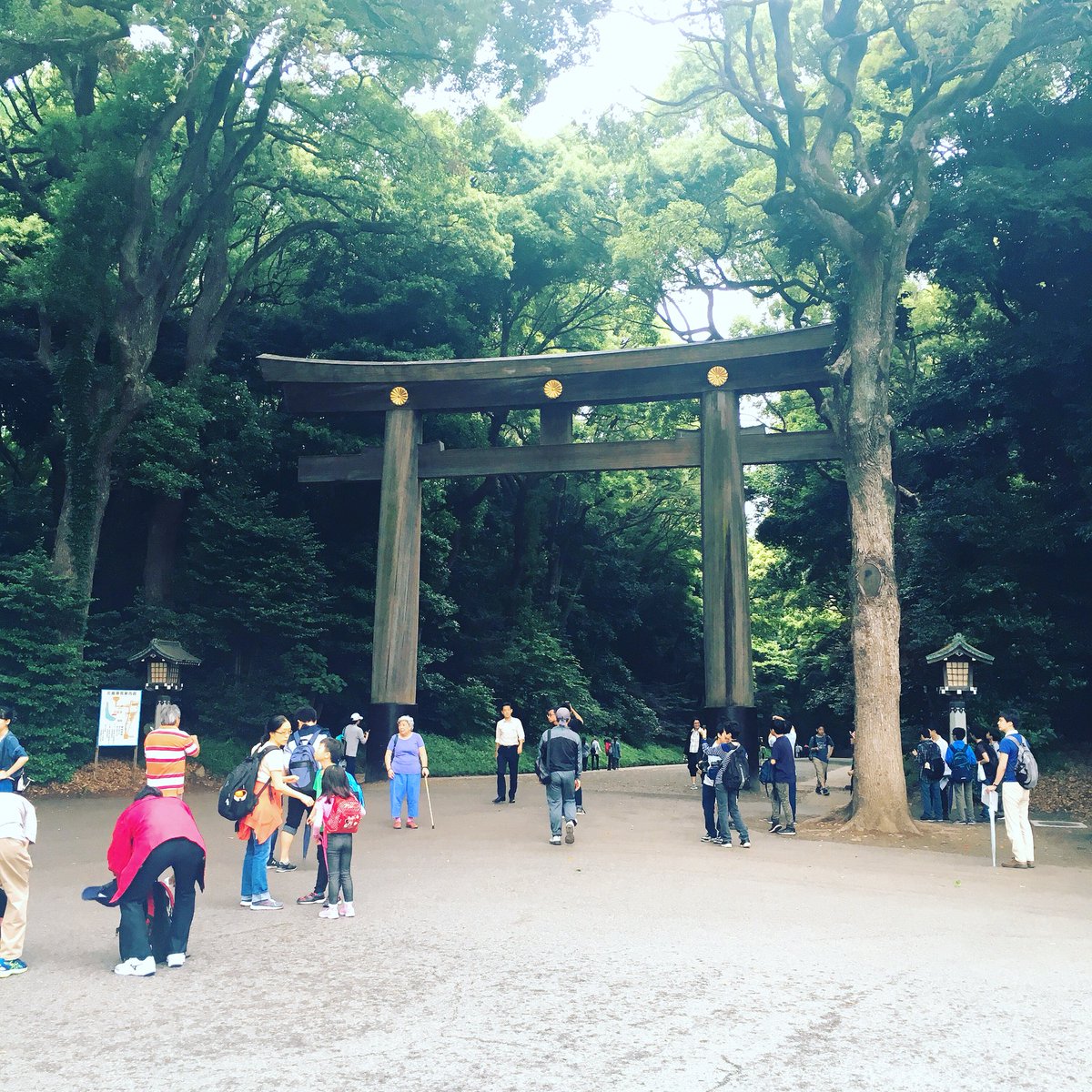 moumoon726YUKA's tweet image. きのうはありがとう、のお礼参りに明治神宮へ。
きょうもみんながげんきでありますように(o^^o)
#moumoon #flyways #tour #ありがとう #love 
 #reflection #smile #eji #松永俊弥 #宮本將行 #livestaffのみんなに感謝