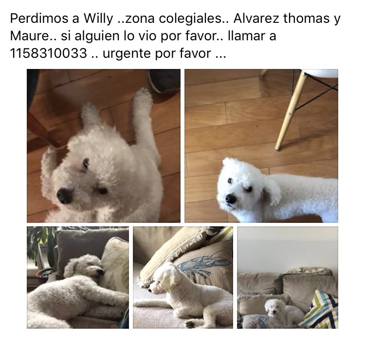 RT por favor!!! CAPITAL FEDERAL, Colegiales!!!!