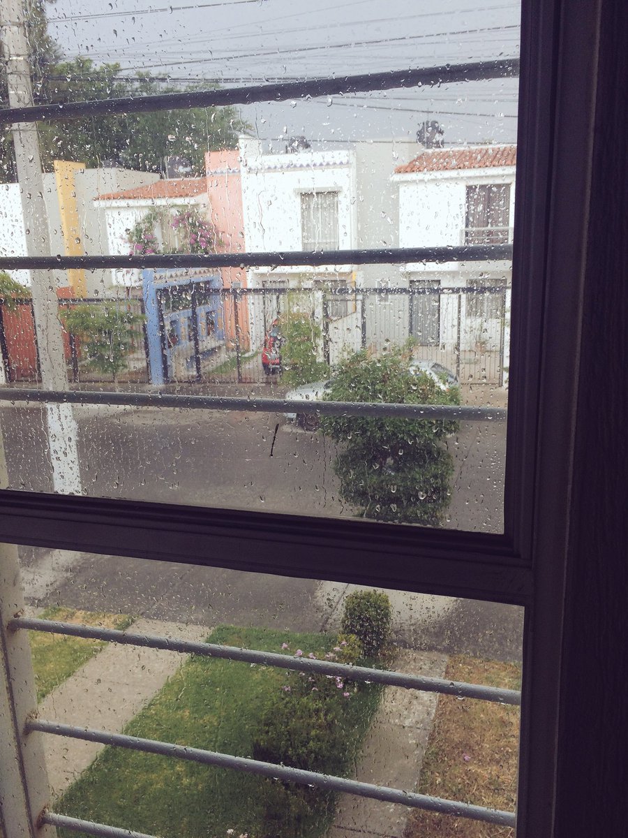 Elizabeth Ruelas (@ruelaselizabeth) | Twitter