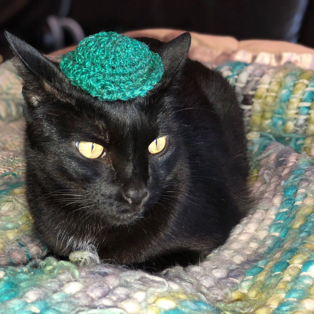 charmedlife1111's tweet image. Barnabas has a question: Is he too sexy for this hat?                        #CatsOfTwitter #catsinhats #modelcat @triciacarrcharm
