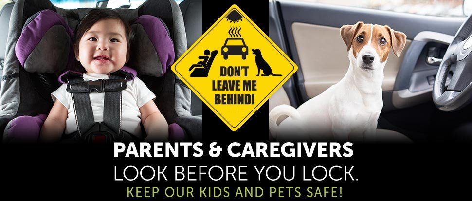 Framingham_MA's tweet photo. Never leave kids or pets in a hot car. it only take a few minutes for the inside of a car to heat up in warm weather. #ReadyFramingham https://t.co/kotIsHRWp8