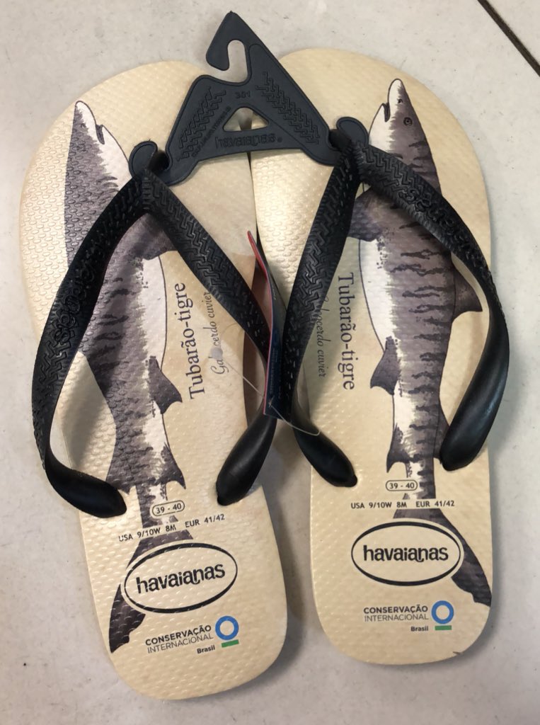 havaianas tigre